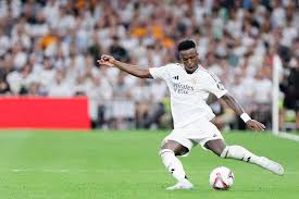 追求和洞察 追求和洞察